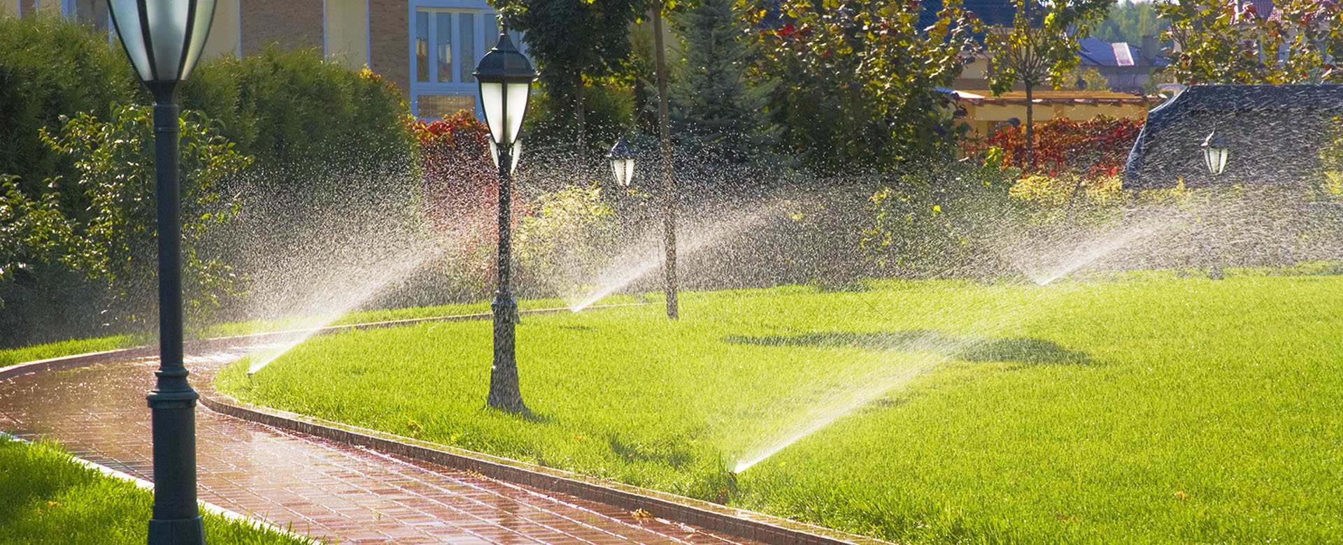 Vipras Landscaping Services in T Nagar